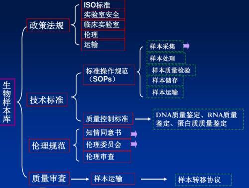 胚胎干细胞能治疗癌症吗1