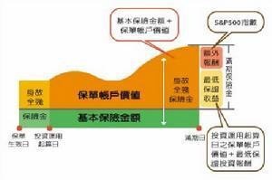 保险金信托