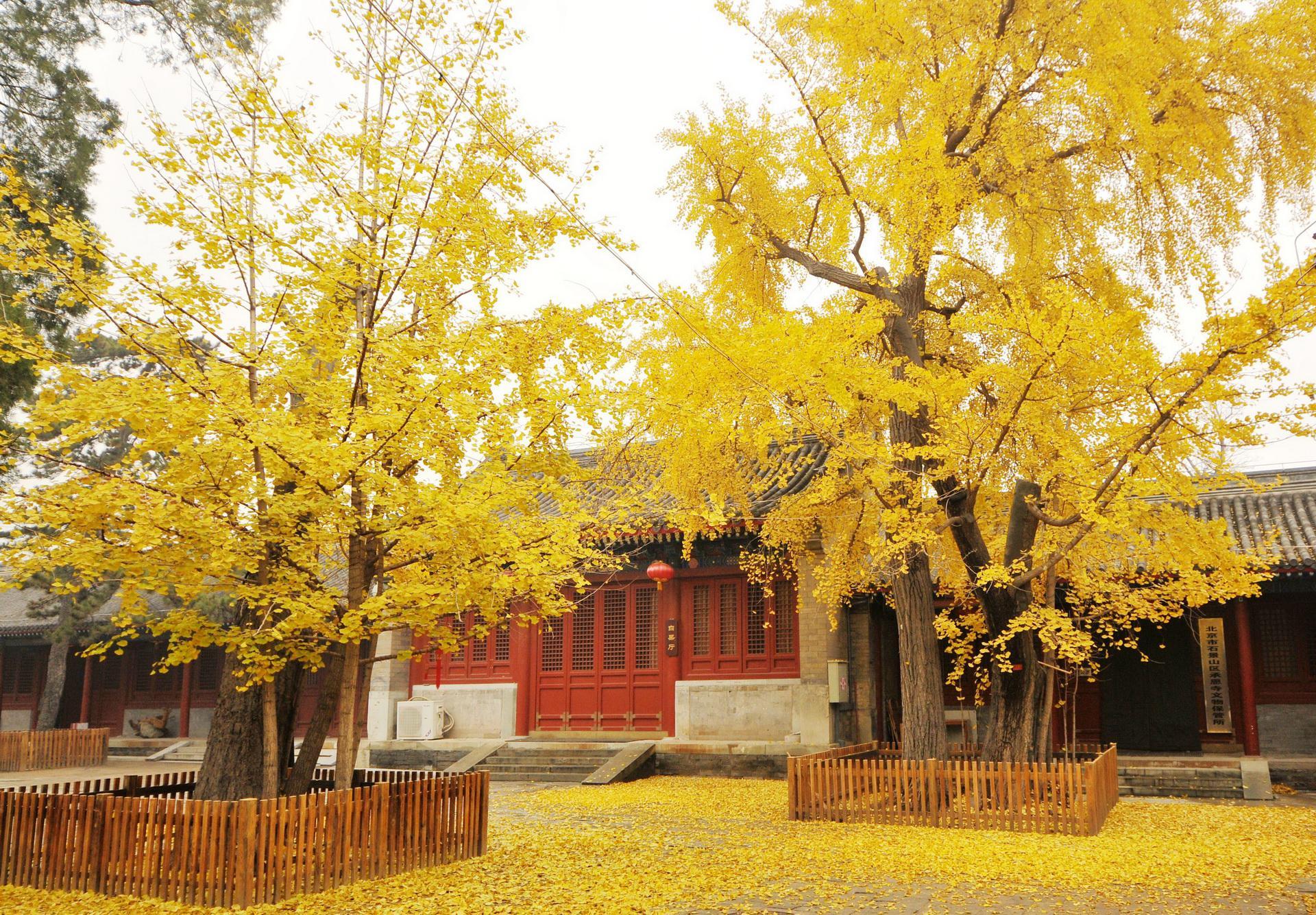 承恩寺 快懂百科