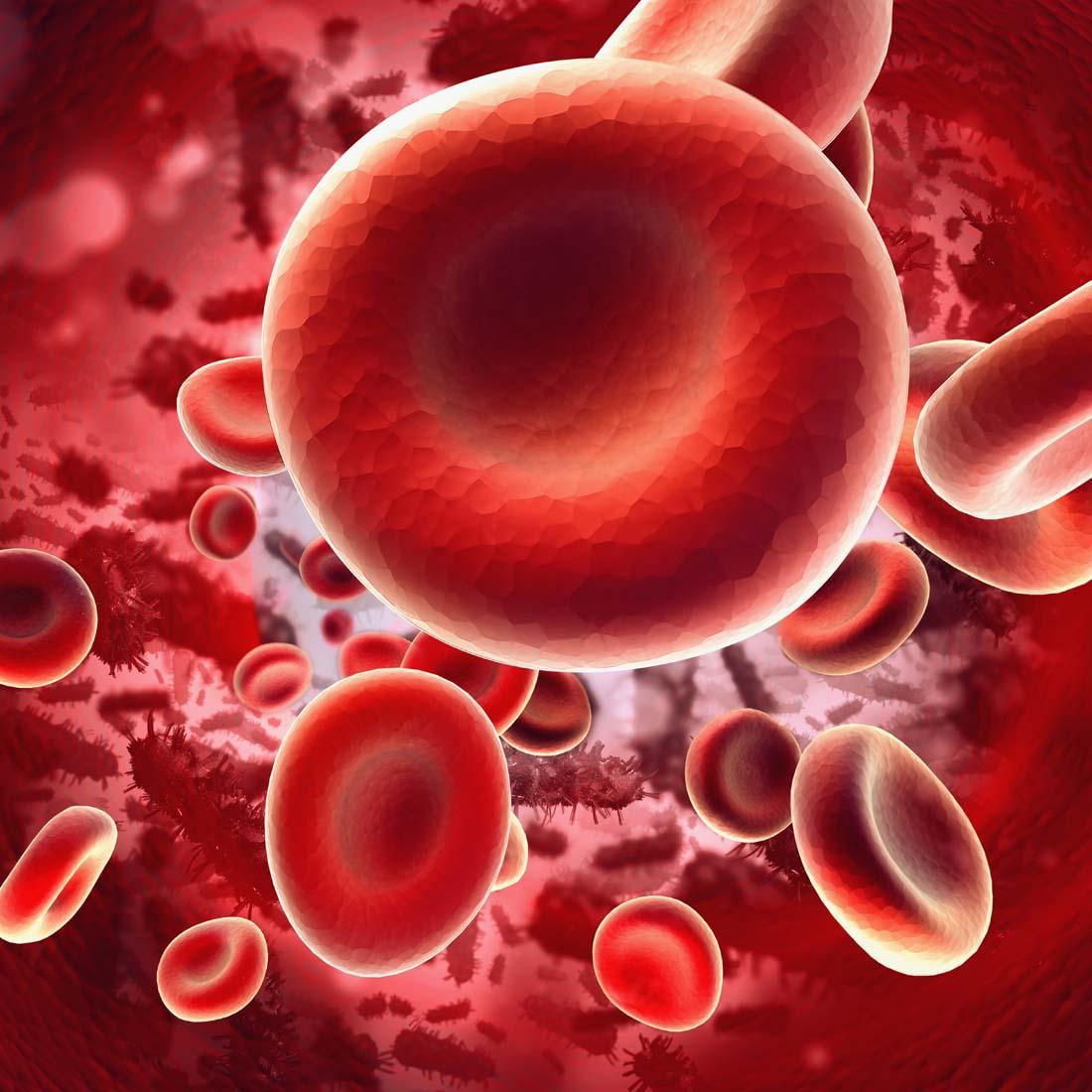 血同脉、爱同行 ——2019年单采血小板献血者保留交流活动顺利开展-中国输血协会