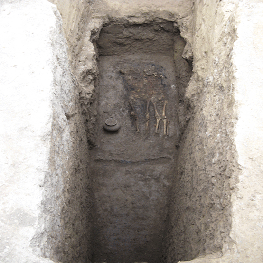 竖井式墓葬图片