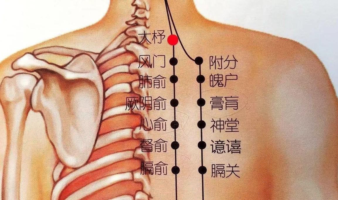 足太阳膀胱经 快懂百科