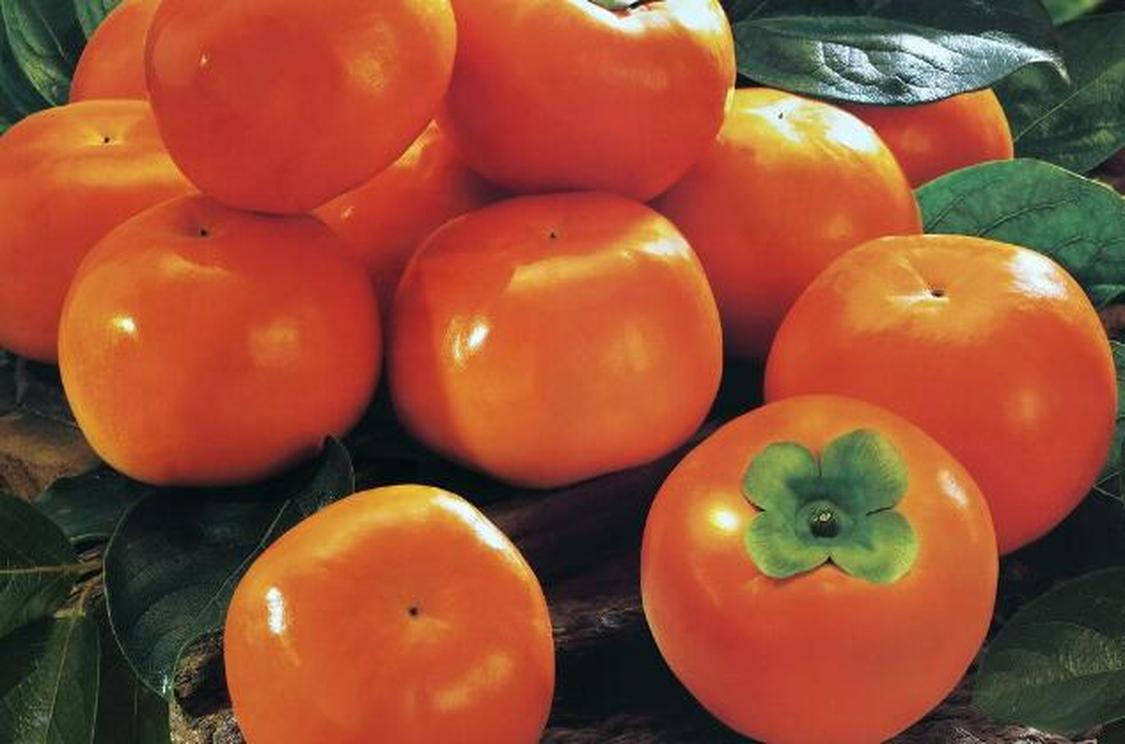 柿子 水果名称 头条百科