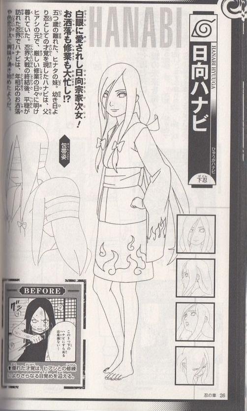 日向花火 快懂百科