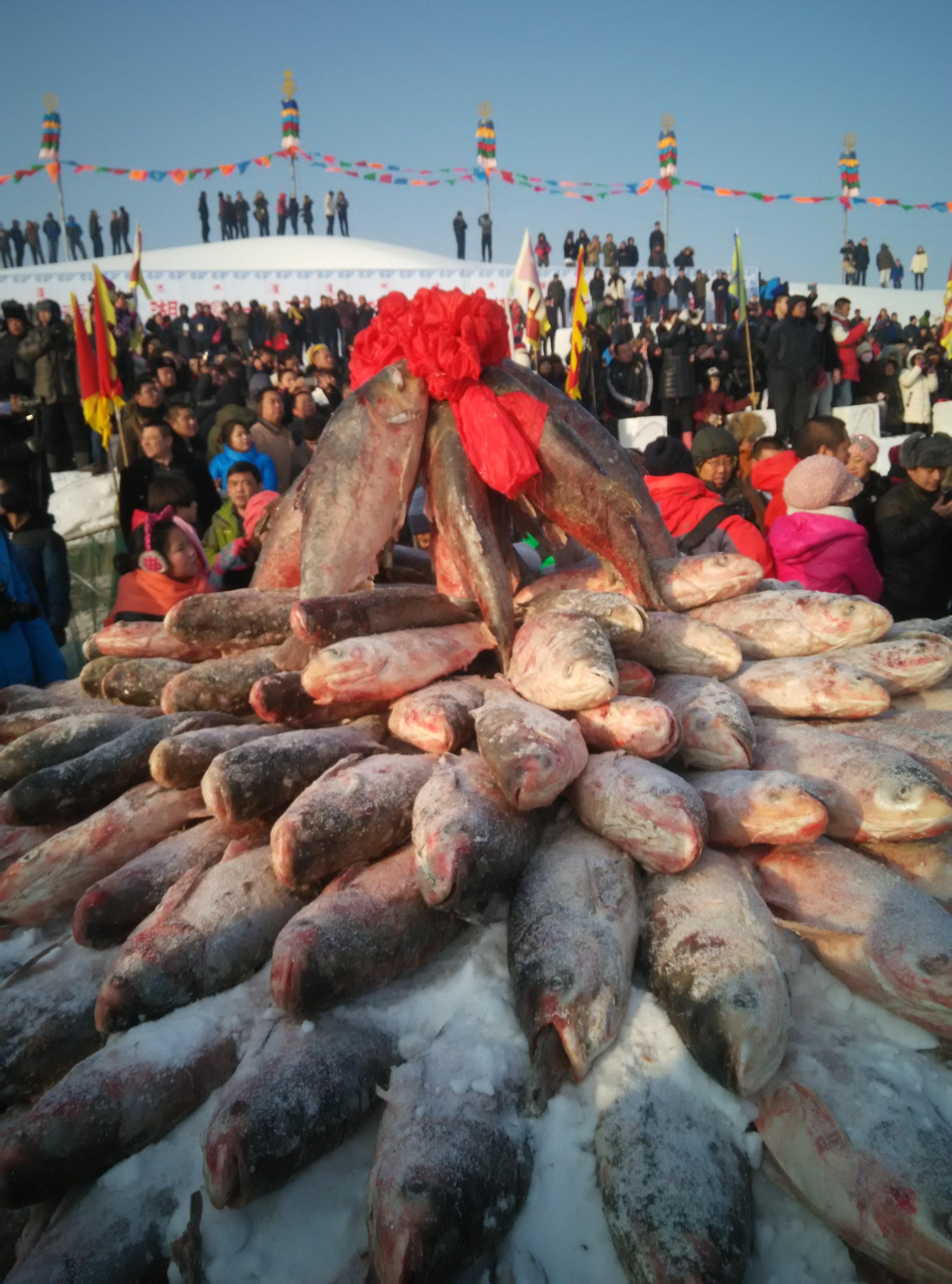 探秘查干湖壮观冬捕 看渔队如何将一网60万斤大鱼从冰下捞上岸