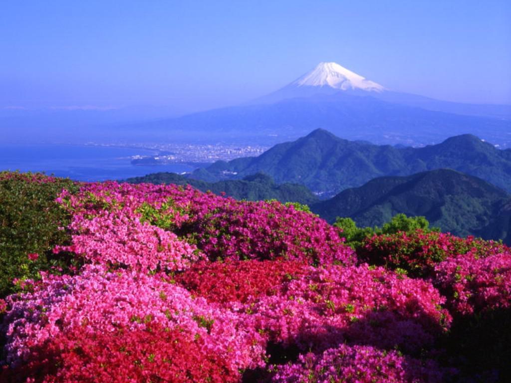 山梨 日本县份 头条百科