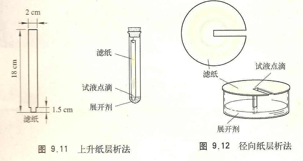 纸层析法 快懂百科