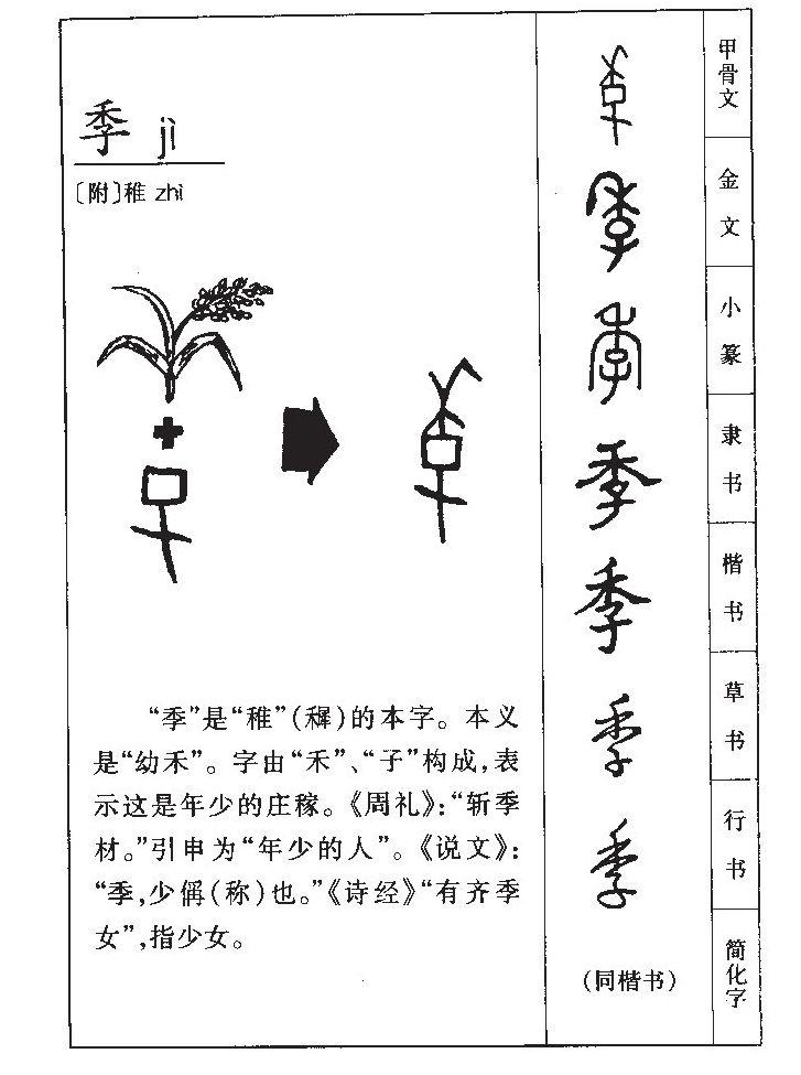 季 - 快懂百科