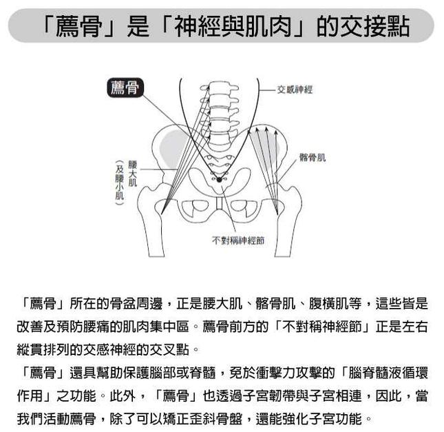 荐骨 荐骨 头条百科