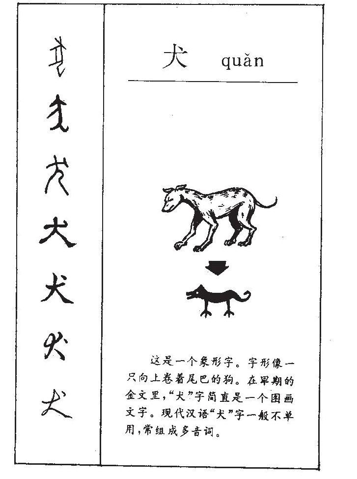 犬 快懂百科