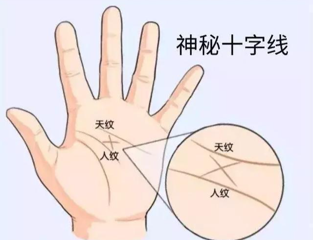 神秘十字纹 快懂百科