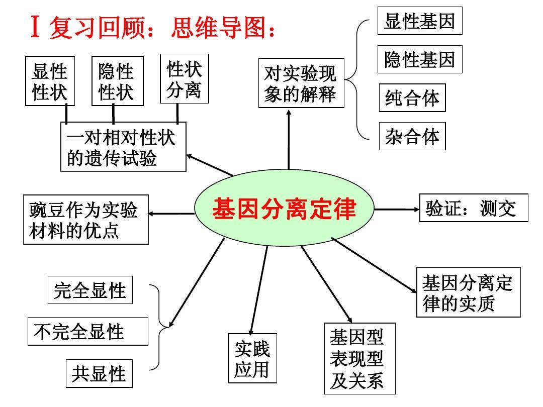 基因分离定律 快懂百科