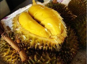 榴莲 快懂百科