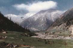 宗朗乡 快懂百科