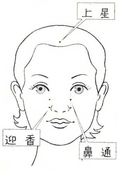 鼻通穴 鼻通穴 头条百科