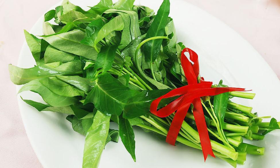 空心菜播种与育苗 快懂百科