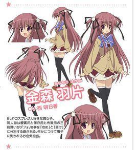 金森羽片 快懂百科