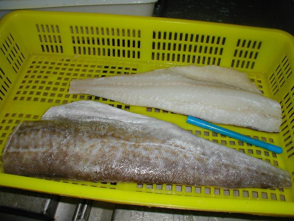 真鳕 快懂百科
