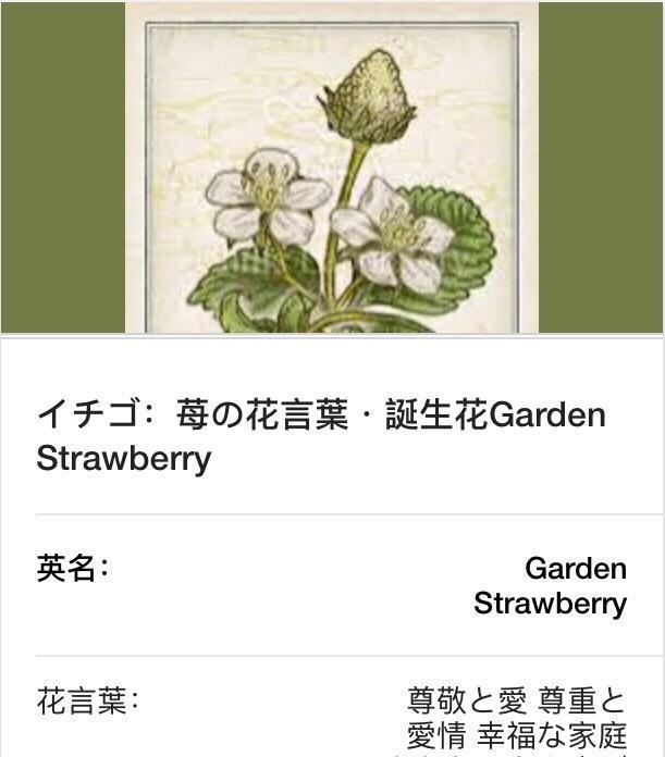 阿散井莓花 角色形象 名字由来 人物关系 历史版本1 头条百科