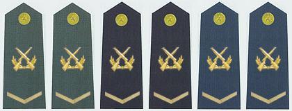 陆海空军二级士官肩章(2007—2009)