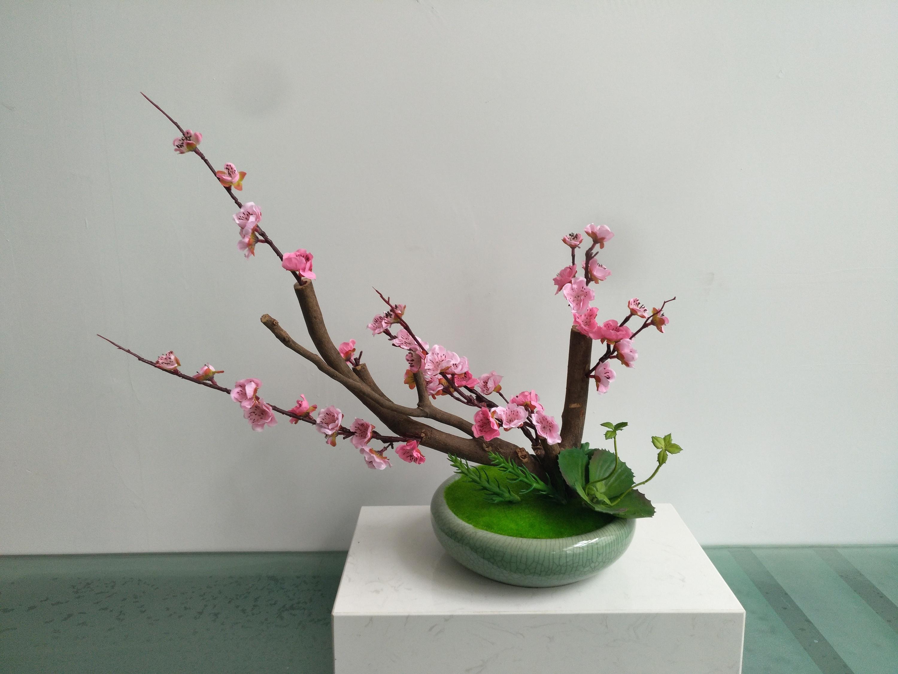 花艺 快懂百科