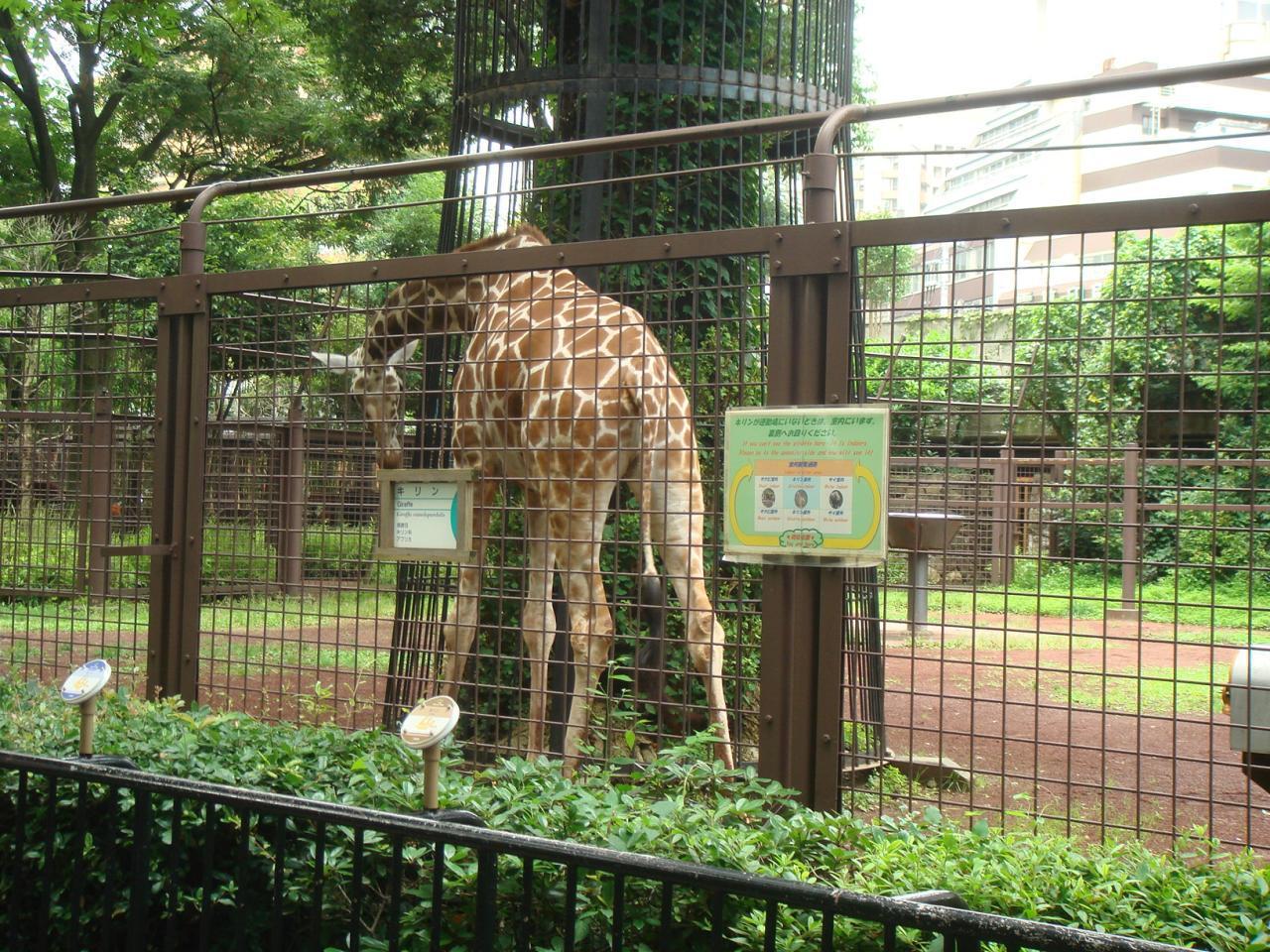 上野动物园 快懂百科
