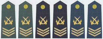 陆海空军二级军士长军衔肩章(2009—)