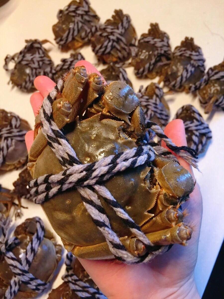 缺刻矶蟹 快懂百科