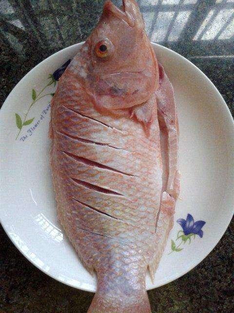 花雕鱼 快懂百科