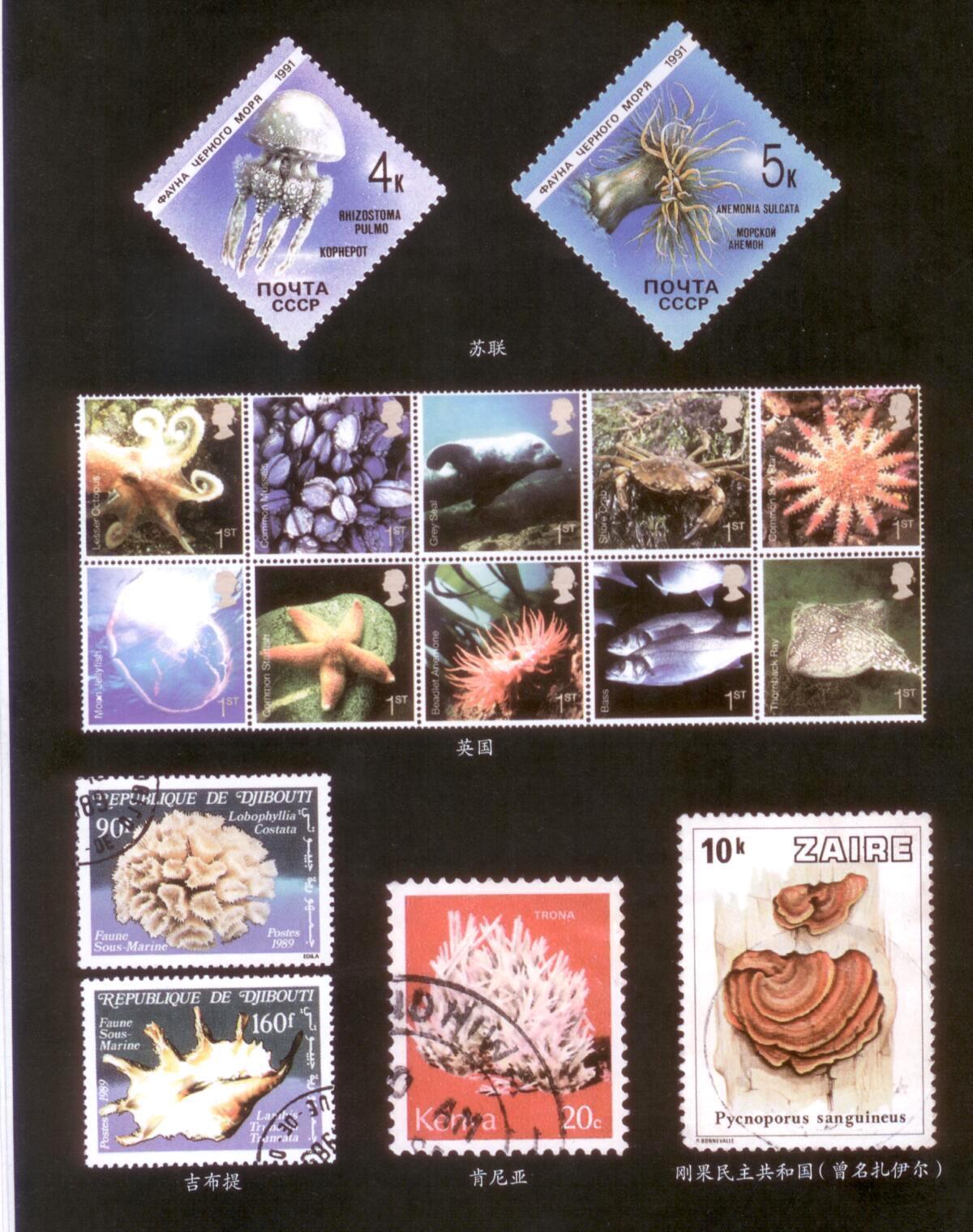 偉大な無脊椎動物