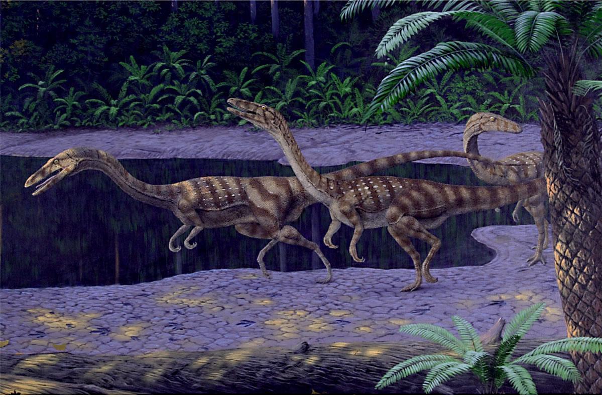 鳄龙在2006年,英国皇家学会宣布他们发现一只双头离龙