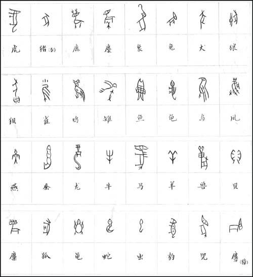 甲骨文合集 头条百科