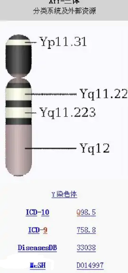 Xyy 快懂百科