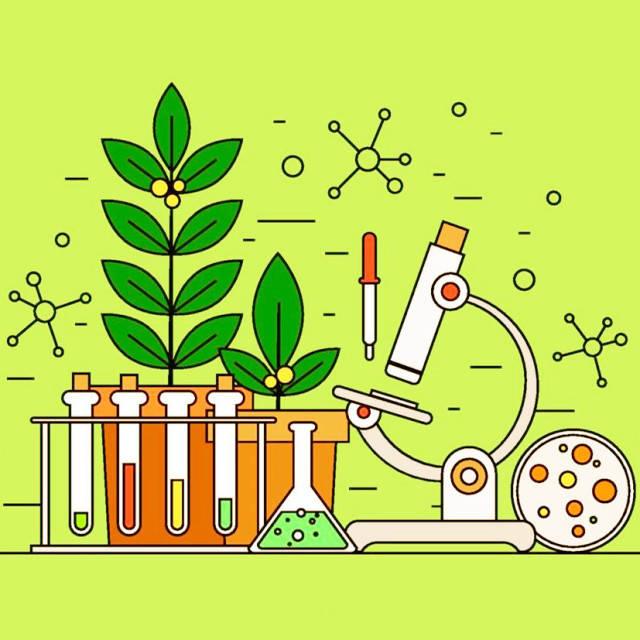 生物学- 快懂百科