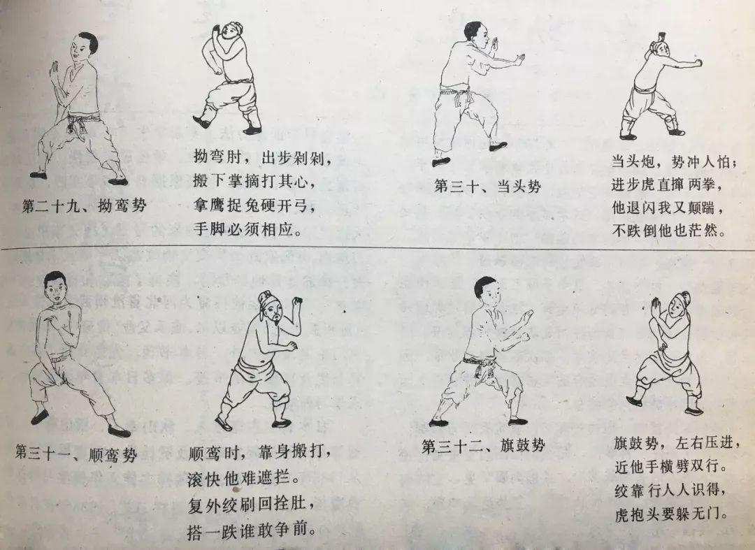 长拳 快懂百科