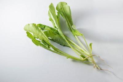 小白菜 快懂百科