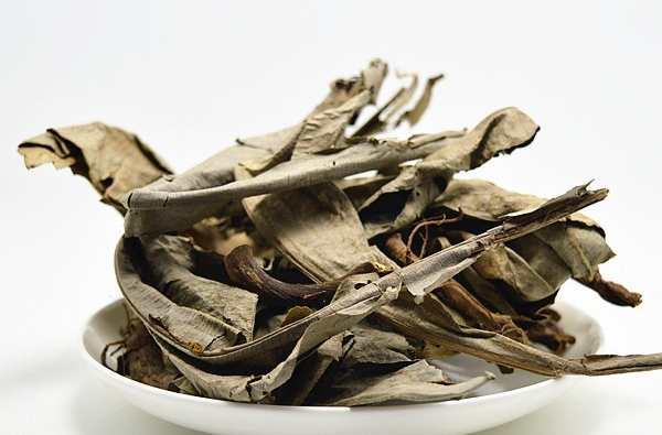 卡琪花蒂玛 快懂百科