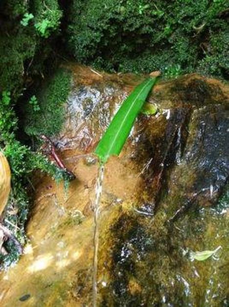 卓锡泉 安徽天柱山泉水名 头条百科