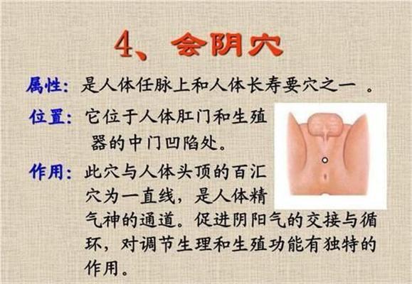 会阴穴 快懂百科