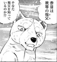 银牙传说 快懂百科