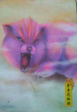 紫金花狐貂 快懂百科