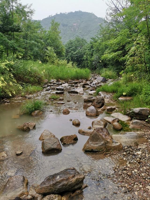 嵯峨山森林公园 快懂百科