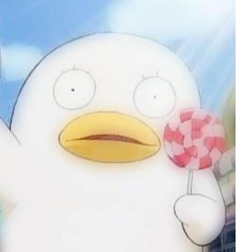 伊丽莎白 快懂百科