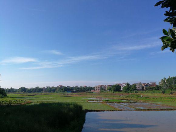 横山村 快懂百科
