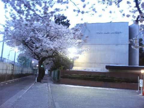 东京家政学院大学 快懂百科