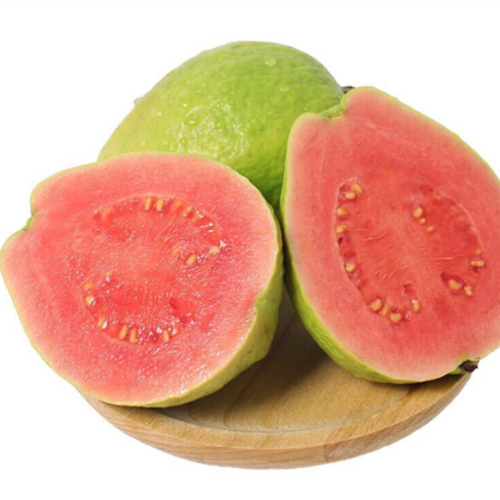 胭脂红番石榴 快懂百科