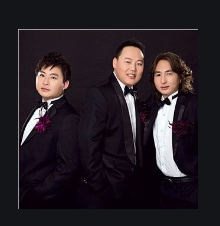 组合名字来源于内蒙古大草原上的英雄嘎达梅林,是由塔拉,白音,朝鲁三