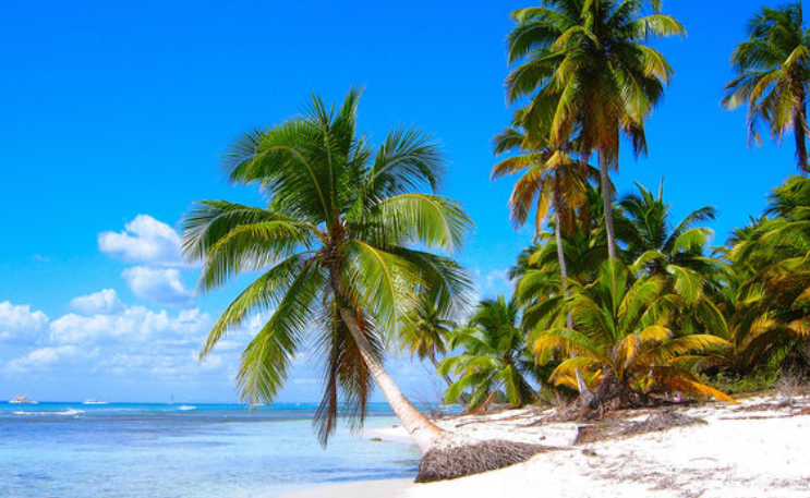 加勒比海 快懂百科